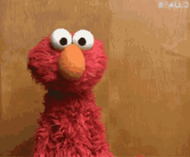 Dunno Elmo