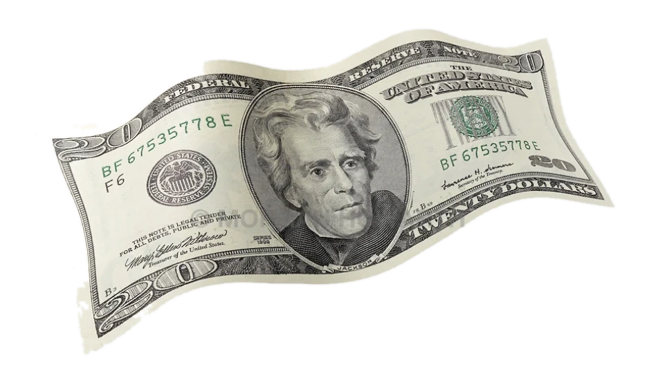 A twenty dollar bill