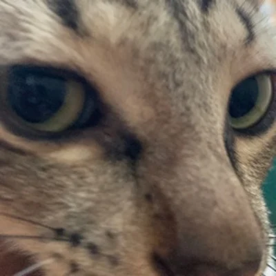 Profile picture of pros6306